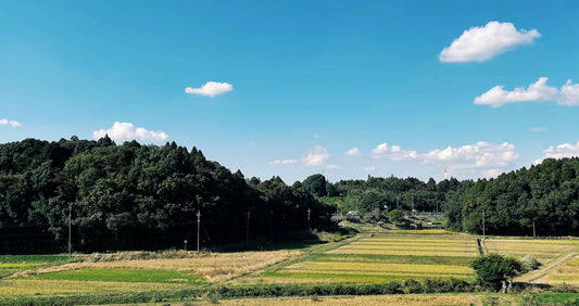 贅沢なリフレッシュ