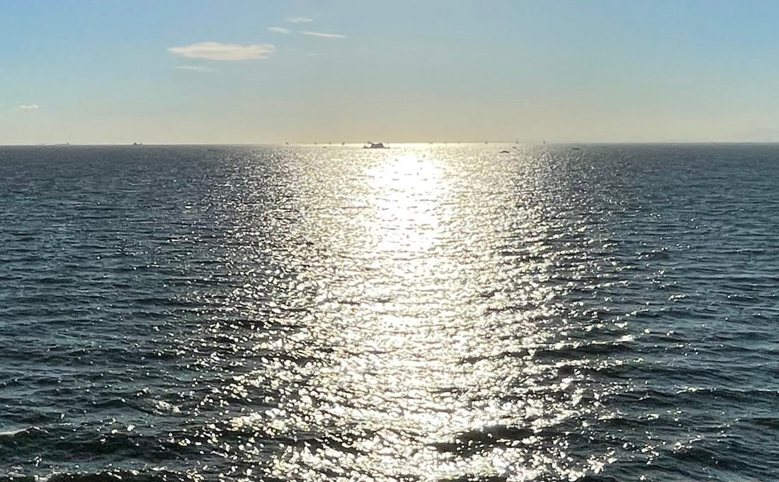 その47　よく聞く言葉