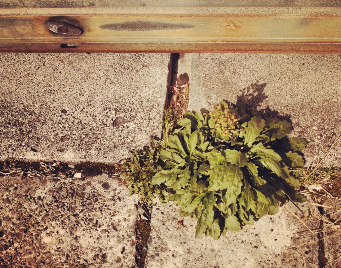 その35　知り得ないこと