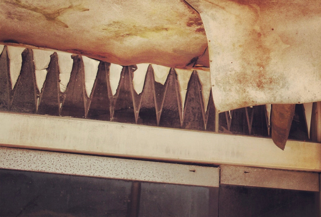 その23　言葉で伝える