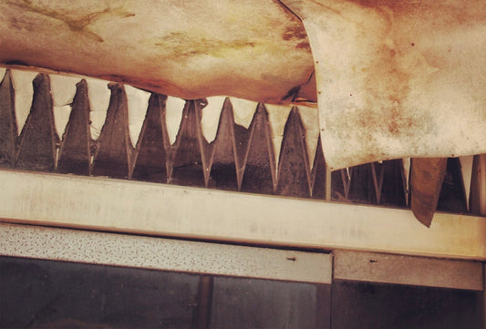 その23　言葉で伝える