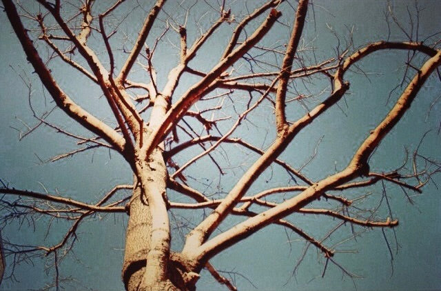 その30　冬のにおい