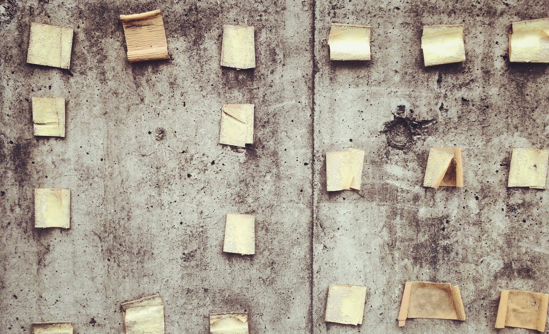 その27　主人公