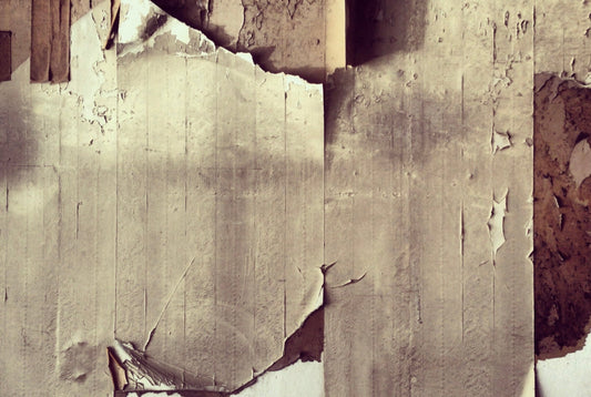 その32　かたちを探す