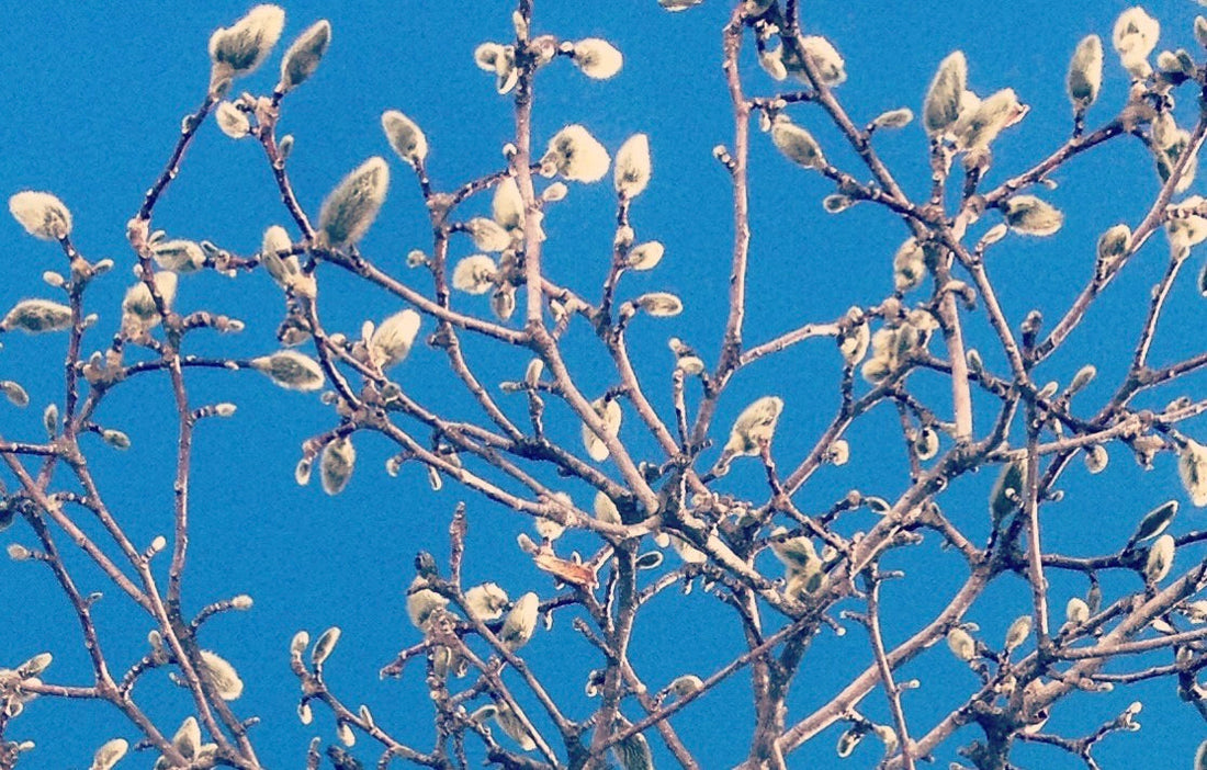 その17　正しさ