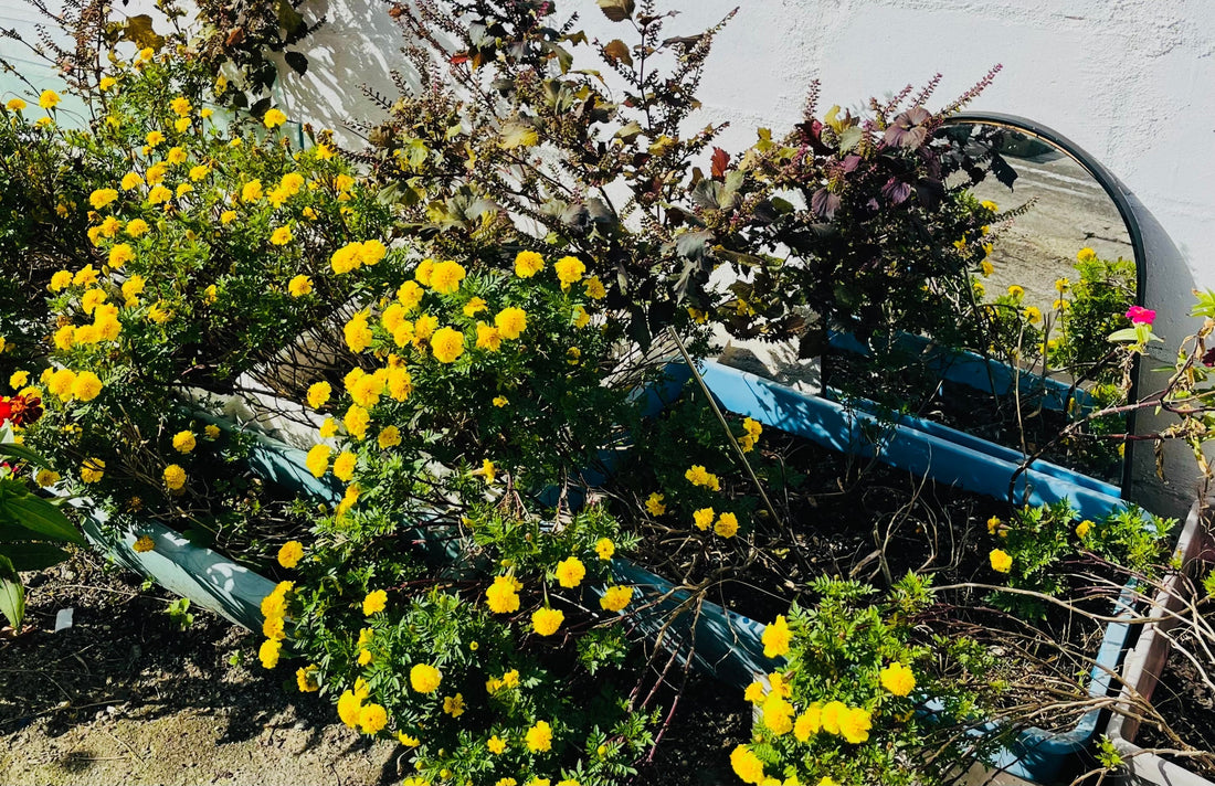 その33　枠の中